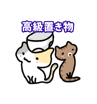 パンツと猫2（個別スタンプ：9）