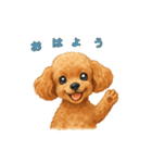 トイプーちゃちゃこ（個別スタンプ：3）
