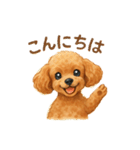 トイプーちゃちゃこ（個別スタンプ：4）