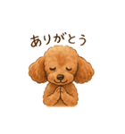 トイプーちゃちゃこ（個別スタンプ：5）