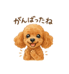 トイプーちゃちゃこ（個別スタンプ：6）