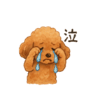 トイプーちゃちゃこ（個別スタンプ：8）
