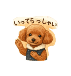 トイプーちゃちゃこ（個別スタンプ：9）