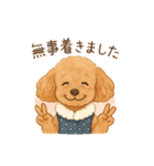トイプーちゃちゃこ（個別スタンプ：11）