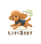 トイプーちゃちゃこ（個別スタンプ：13）
