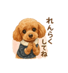 トイプーちゃちゃこ（個別スタンプ：15）