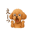 トイプーちゃちゃこ（個別スタンプ：16）