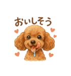 トイプーちゃちゃこ（個別スタンプ：25）