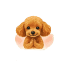トイプーちゃちゃこ（個別スタンプ：27）