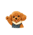 トイプーちゃちゃこ（個別スタンプ：31）