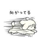 マルプーのネル（個別スタンプ：4）