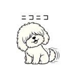 マルプーのネル（個別スタンプ：5）