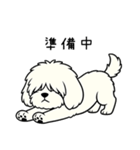 マルプーのネル（個別スタンプ：7）