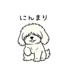 マルプーのネル（個別スタンプ：14）