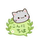 小さいアメショ☆吹き出し（個別スタンプ：2）