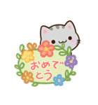 小さいアメショ☆吹き出し（個別スタンプ：8）