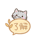 小さいアメショ☆吹き出し（個別スタンプ：10）