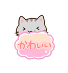 小さいアメショ☆吹き出し（個別スタンプ：14）