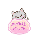小さいアメショ☆吹き出し（個別スタンプ：20）