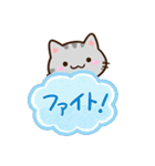 小さいアメショ☆吹き出し（個別スタンプ：23）