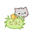 小さいアメショ☆吹き出し（個別スタンプ：26）
