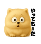 ギャグ顔ポメラニアン（関西弁）（個別スタンプ：21）