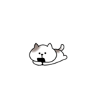 ちっこいねこのすけのスタンプ（個別スタンプ：14）