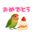 コザクラインコの日常.（個別スタンプ：2）
