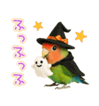 コザクラインコの日常.（個別スタンプ：5）