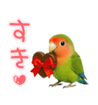 コザクラインコの日常.（個別スタンプ：8）