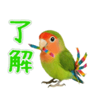コザクラインコの日常.（個別スタンプ：12）