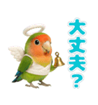 コザクラインコの日常.（個別スタンプ：21）