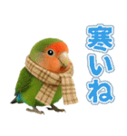 コザクラインコの日常.（個別スタンプ：27）