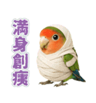 コザクラインコの日常.（個別スタンプ：34）