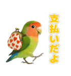 コザクラインコの日常.（個別スタンプ：36）