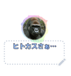 ショート動画の人々2：メッセージスタンプ（個別スタンプ：23）