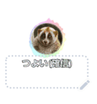 ショート動画の人々2：メッセージスタンプ（個別スタンプ：24）