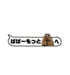 【家族連絡用】マーモット一家（個別スタンプ：35）