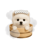 湯けむりわんこ♨️（個別スタンプ：1）