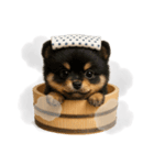 湯けむりわんこ♨️（個別スタンプ：3）
