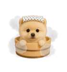 湯けむりわんこ♨️（個別スタンプ：4）