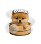 湯けむりわんこ♨️（個別スタンプ：7）