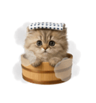 湯けむりにゃんこ♨️（個別スタンプ：1）