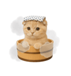 湯けむりにゃんこ♨️（個別スタンプ：2）