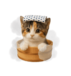 湯けむりにゃんこ♨️（個別スタンプ：5）