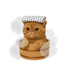 湯けむりにゃんこ♨️（個別スタンプ：9）