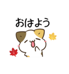 動く！毎日五月病なねこたち 秋スタンプ3（個別スタンプ：1）