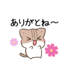 動く！毎日五月病なねこたち 秋スタンプ3（個別スタンプ：6）