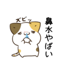 動く！毎日五月病なねこたち 秋スタンプ3（個別スタンプ：23）