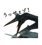 ⚫翼竜【毎日使える恐竜シリーズ】古代生物（個別スタンプ：32）